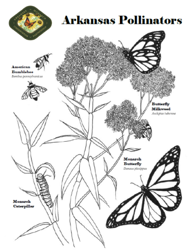 Bee and Butterfly Coloring Sheet