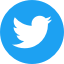 twitter logo icon